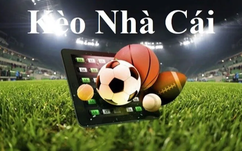 Bí quyết để bắt kèo nhà cái MB66 hiệu quả